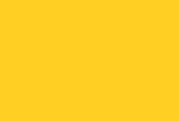 Sonic Yellow